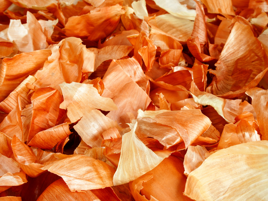 Łupiny Cebuli: Praktyczne Zastosowanie w Barwieniu i Pielęgnacji Ogrodu