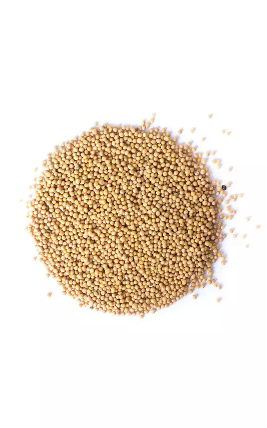 Gorczyca biała ziarno. 100g