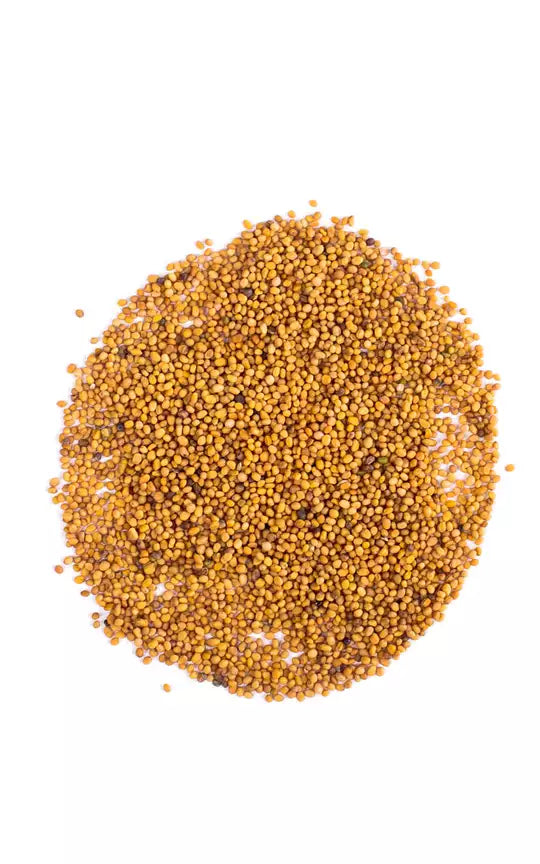 Gorczyca sarepska ziarno. 1kg