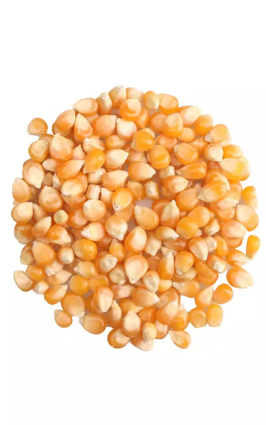 Kukurydza popcorn. 100g