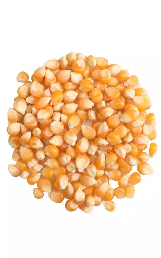 Kukurydza popcorn. 100g